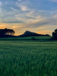 ImagenHotel Robert 4