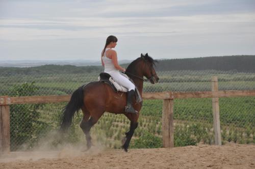 ImagenHotel Palacios 1