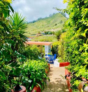 ImagenCASA LAZARO, TEGUESTE 3