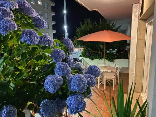 ImagenApartamento Sanxenxo Playa Silgar 30m 2