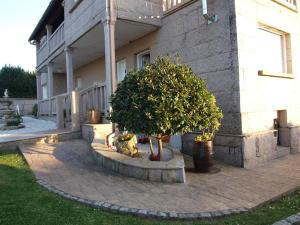 ImagenChan da Vella 6