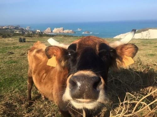 ImagenPosada La Morena 1