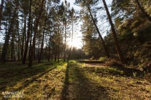 ImagenL'Amagatall de Cal Tonedor 4