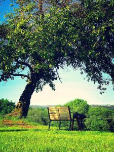 ImagenCampamento Turístico Brandoñas 3