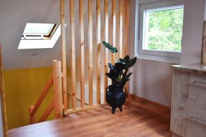 ImagenO Mencer do Camiño 6