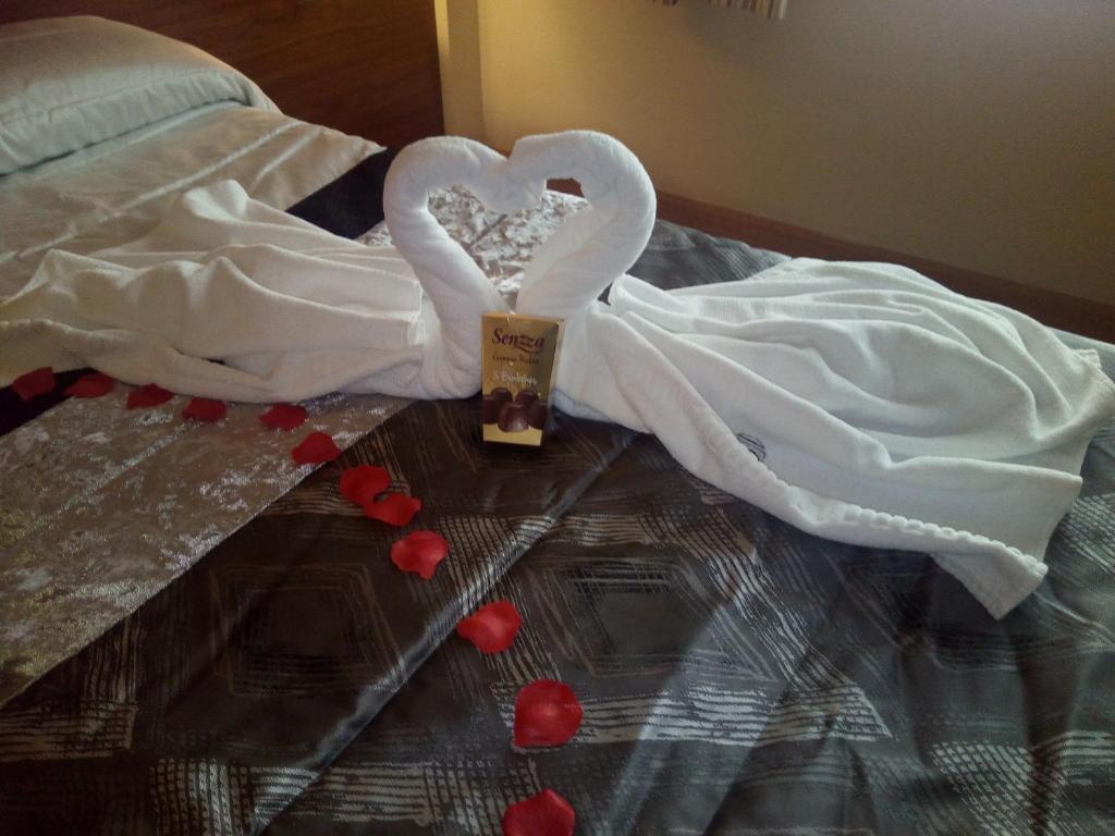 Olimpia Hotelesimagen principal