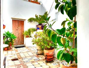 ImagenCASA LA FUENTE C Casas Vejer Debra 3