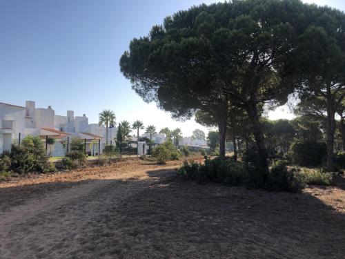 ImagenCasa Hortensia - Sancti Petri 1