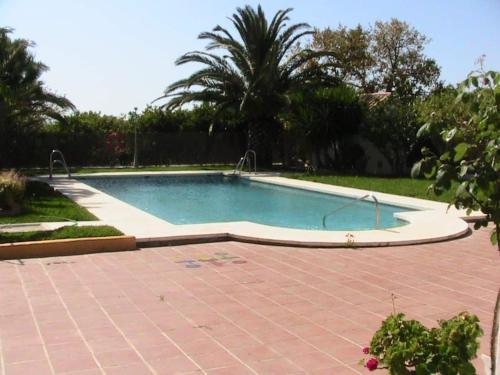 ImagenFinca La Tacita - Petunia 1