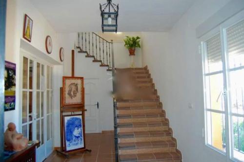 ImagenFinca La Tacita - Petunia 2