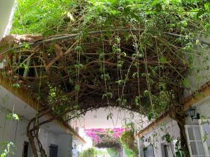 ImagenHotel Antonio Conil 4