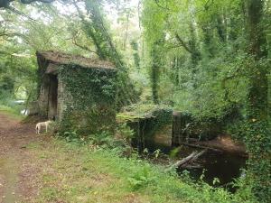 ImagenLa casa del tio Antonio 6