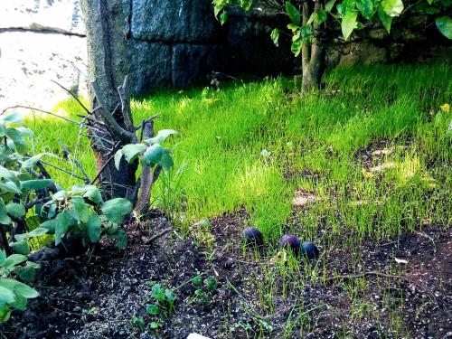 ImagenHabitaciones en Casa de Campo Rural 1