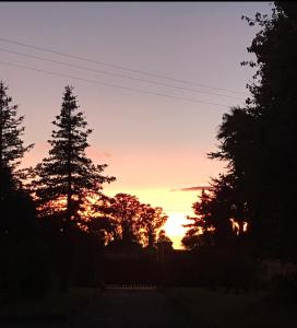 ImagenVilla las camelias 3