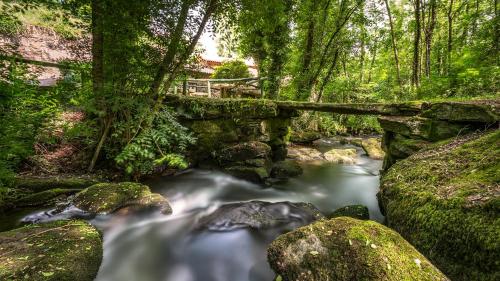 ImagenMolino Catasol 1