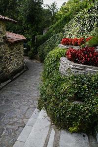 ImagenMolino Catasol 3