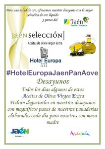 ImagenHotel Europa 6