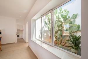 ImagenVilla en Menorca 5