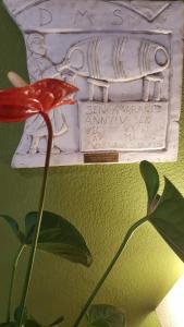 ImagenLas Abadías 5