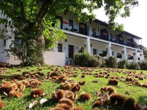 ImagenHotel Apartamento Rural Finca La Media Legua 6