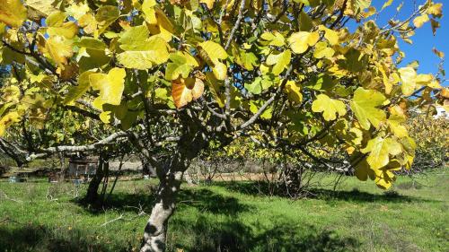 ImagenCasa Rural La Era 3 - Adults Only 1