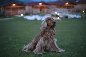 ImagenLa Cabaña Rural 5