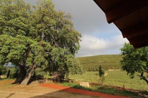 ImagenFinca Heredad La Boquilla 6