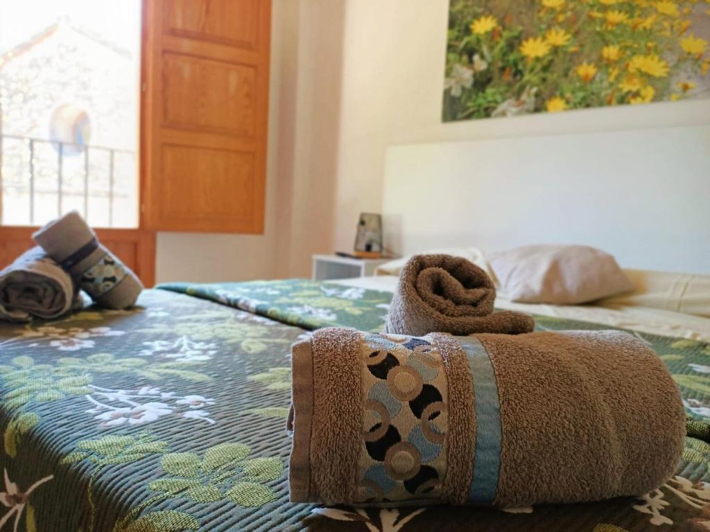 HOSTAL RESTAURANTE CARRICOLAimagen principal