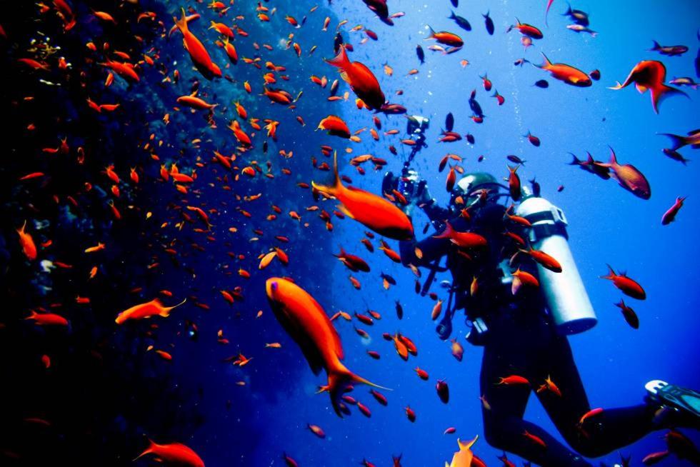 Sunshine Apartment at Tropical Coast of Granadaimagen principal