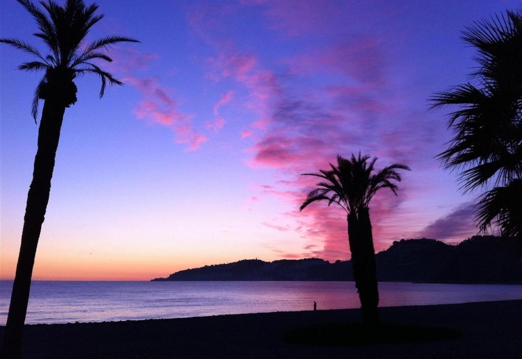 Los Clavelesimagen principal