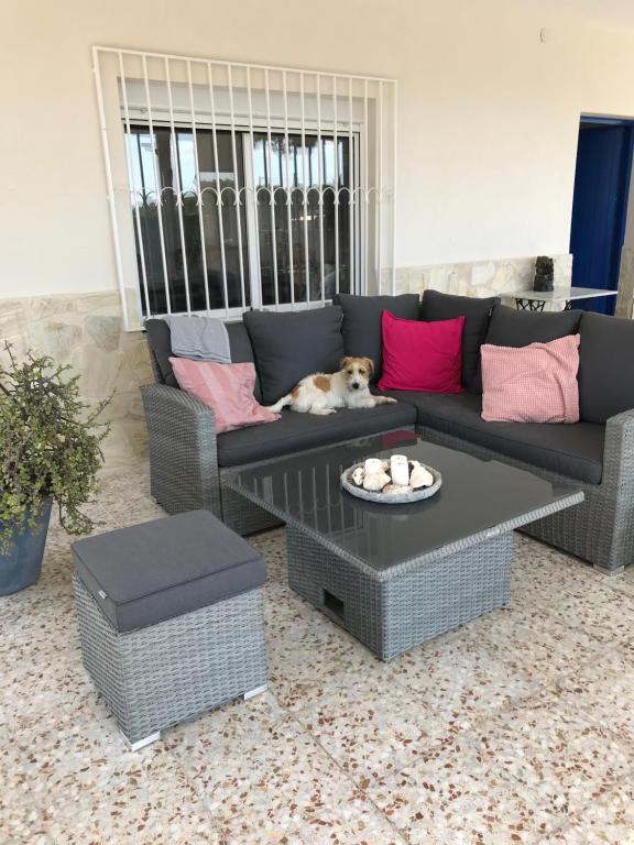 Casa Sofia Boutique Bed & Breakfast Crevillenteimagen principal