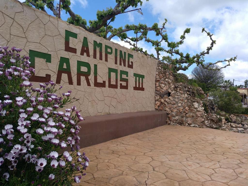 Camping Carlos IIIimagen principal