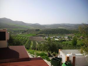 ImagenEscudo de Granada 5