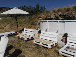 ImagenEl Asno Azul 5