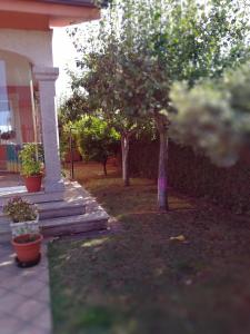 ImagenDespertar con el sonido de los pajaros 4