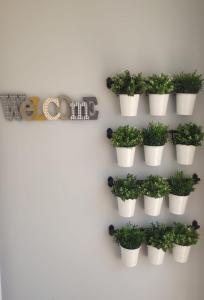 ImagenPortoSantiago 5