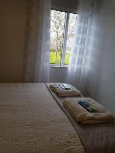 ImagenCasa de Campo Cruz de Pedra 5