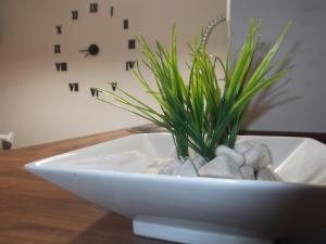 ImagenA&E.Escornalbou 6