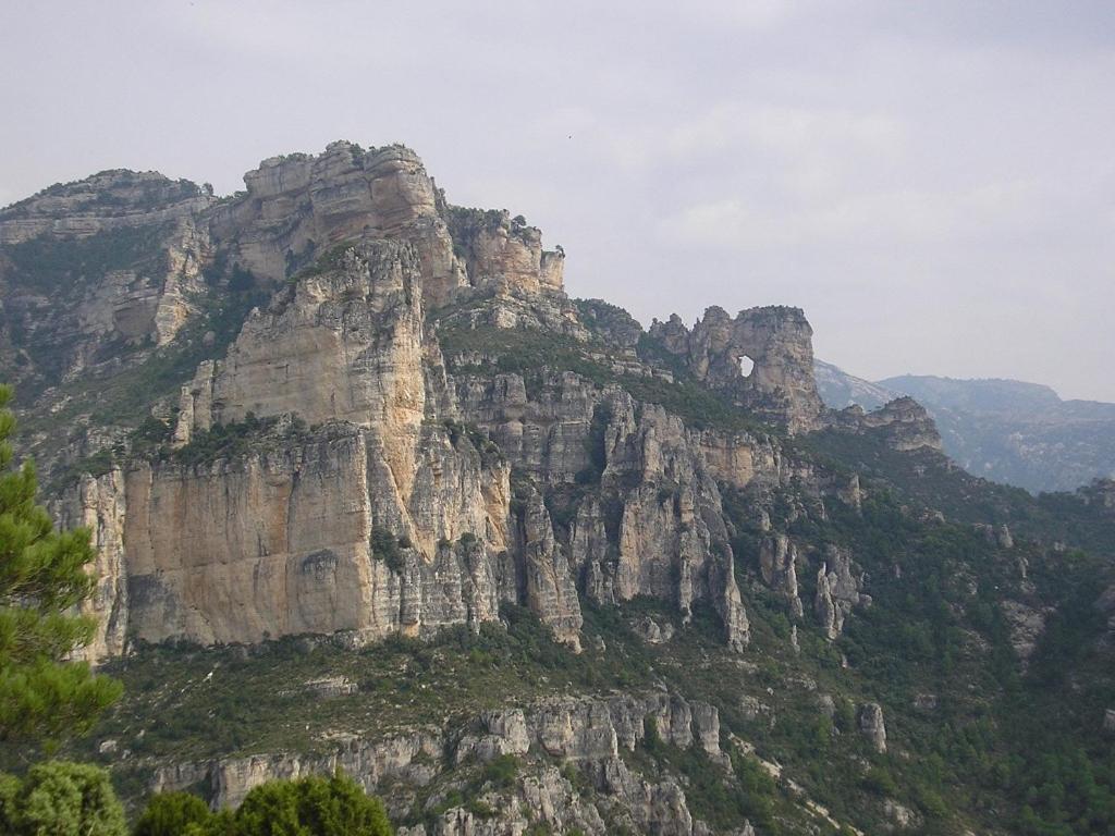 Casa Yayoimagen principal