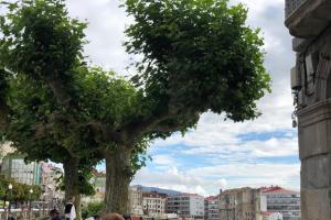 ImagenPiso turístico la Única 4