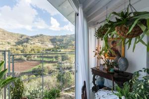 ImagenCueva de Sacromonte 6