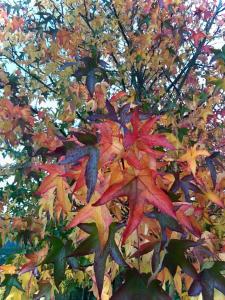 ImagenEn la colina 1 Montañealde 3