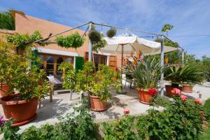 ImagenFinca Alqueria 6