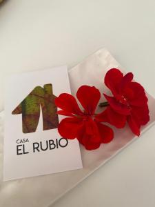 ImagenCasa El Rubio 4