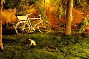 ImagenHospedium Hacienda Las Cavas 5