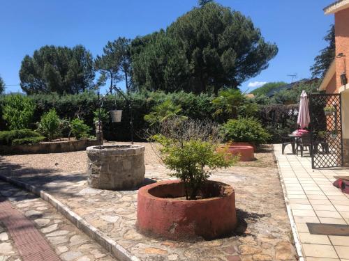 ImagenRenacer de los Sentidos 1