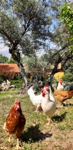 ImagenHotel Rural El Retiro de San Pedro 5