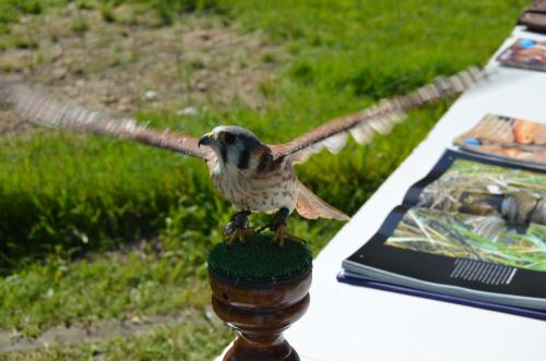 ImagenHotel Restaurante Canero 1