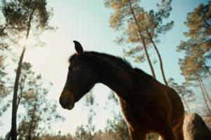 ImagenAlbergue Bergando 4