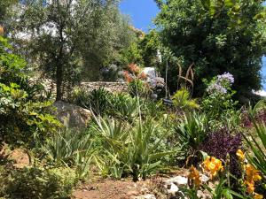 ImagenLa Casa Turquesa-Original 6